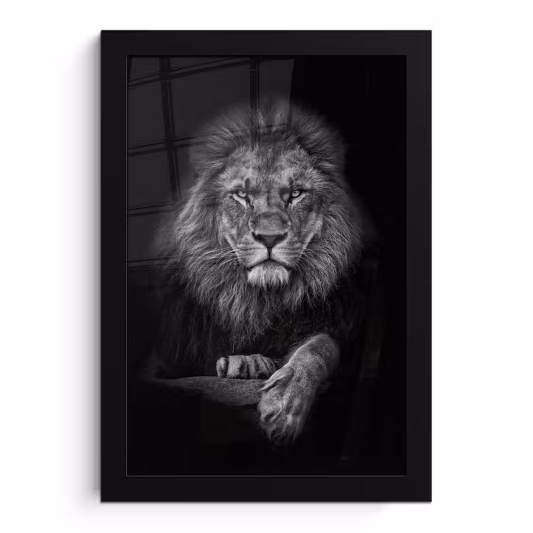 Photo Frame - Lion - Animals - Black - White — 1