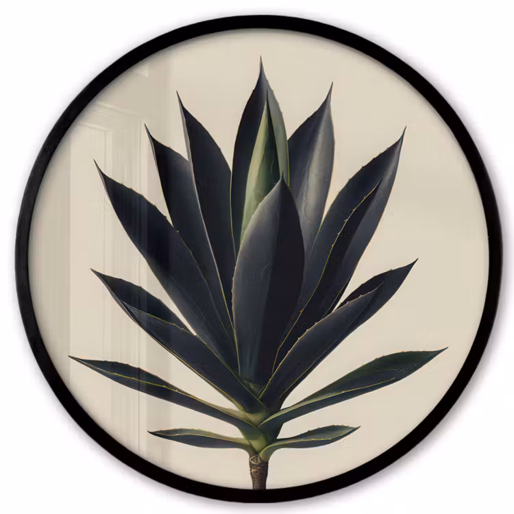 Photo Frame Round - Agave plant - Symmetrical - Green — 1
