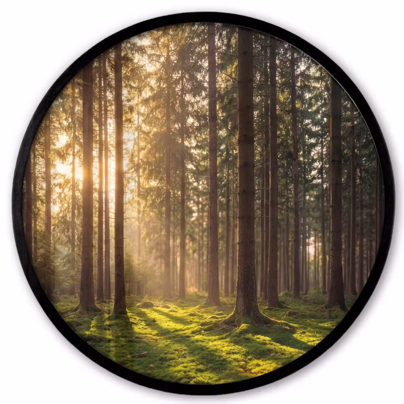 Photo Frame Round - Forest - Grass - Sunlight — 1