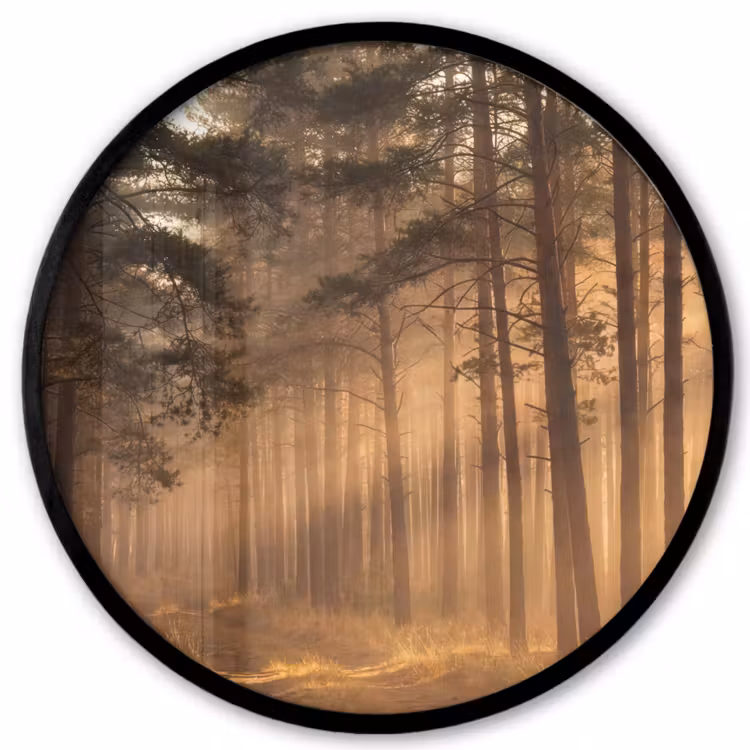 Photo Frame Round - Forest - Fog - Sunlight — 1