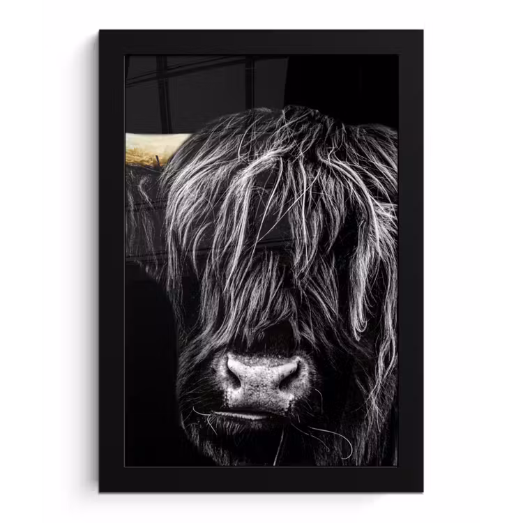 Photo Frame - Scottish Highlander - Gold - Coat - Animals - Cow — 1