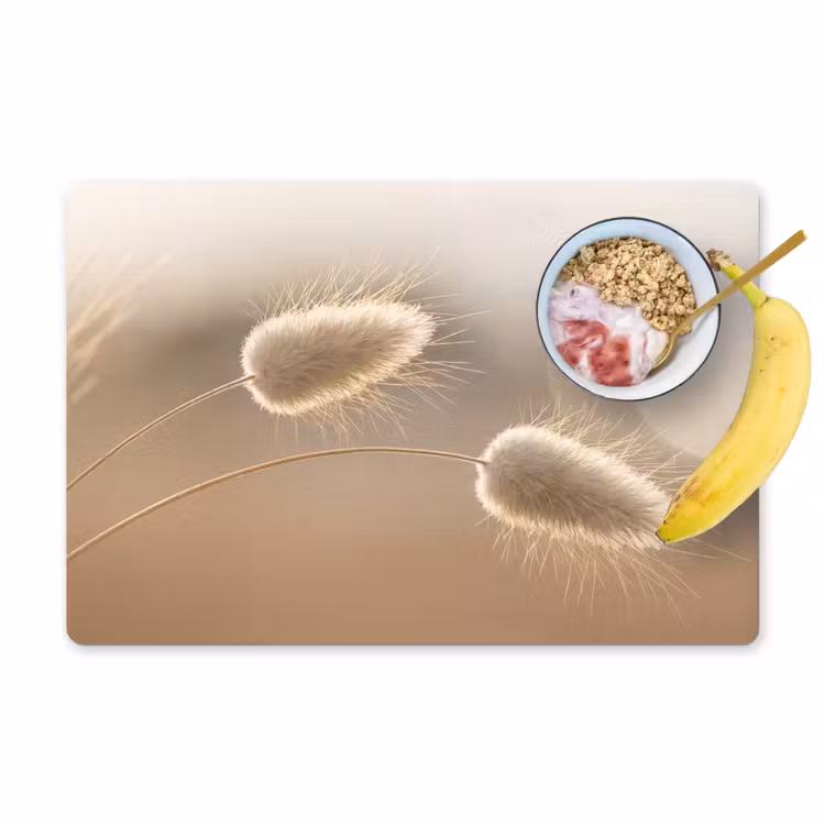Placemat - 6 pieces - Haze tail grass - Grain hairs - Sunlight — 1