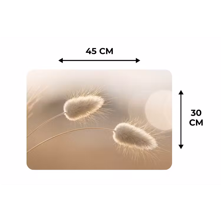 Placemat - 6 pieces - Haze tail grass - Grain hairs - Sunlight — 3