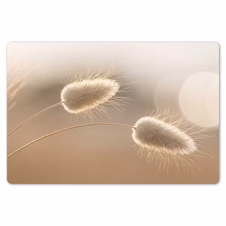 Placemat - 6 pieces - Haze tail grass - Grain hairs - Sunlight — 6