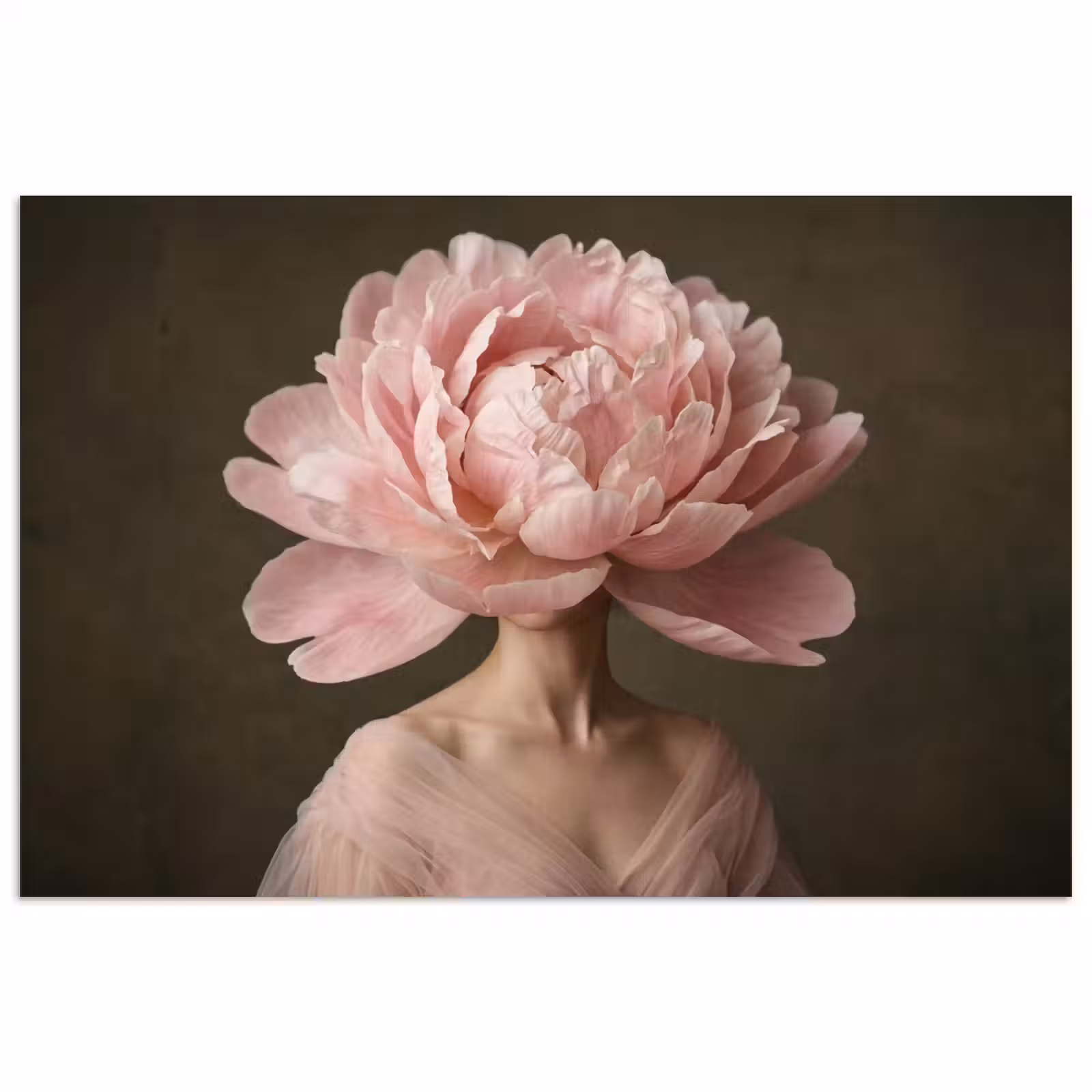 Poster - Face - Rose - Pink — 1
