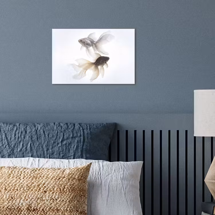 Poster - Goldfish - Modern - White — 3