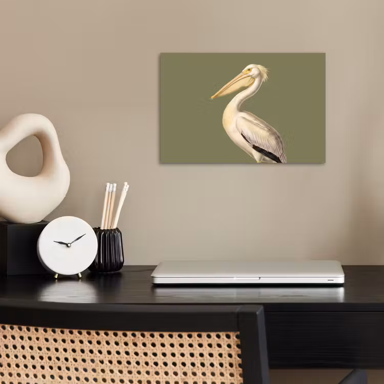 Poster - Pelican - White - Bird - Classic - Nature — 2