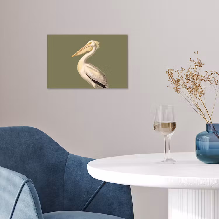 Poster - Pelican - White - Bird - Classic - Nature — 4