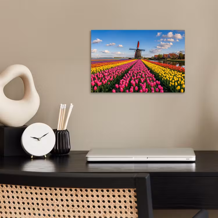 Poster - Tulips - Holland - Mill - Colorful — 2