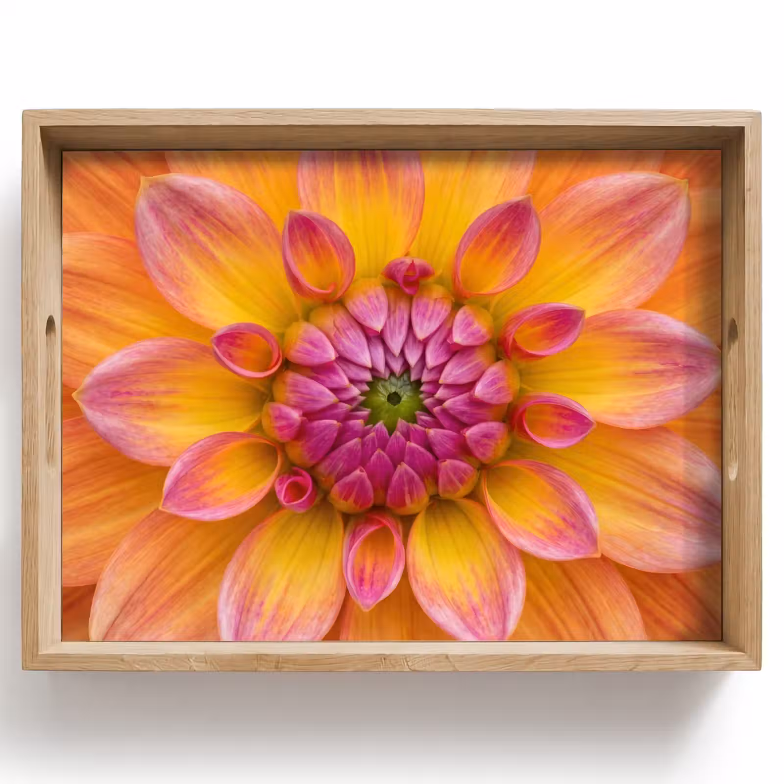 Tray - Dahlia - Flower - Orange — 1