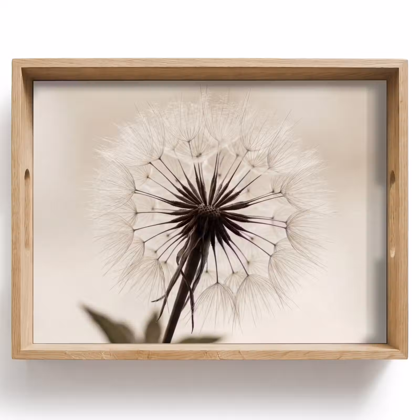Tray - Dandelion - Minimalist - White — 1