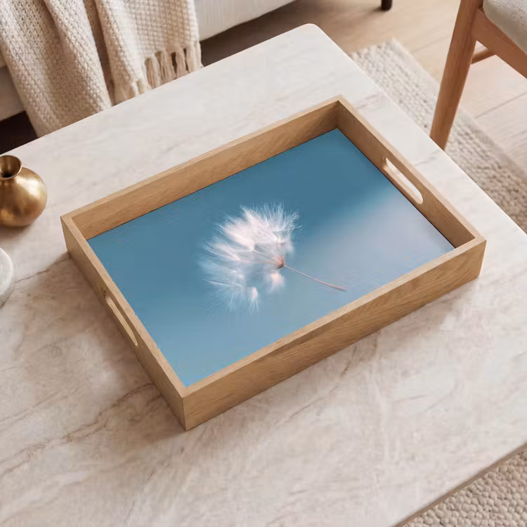 Tray - Dandelion Fluff - Blue - Air — 2