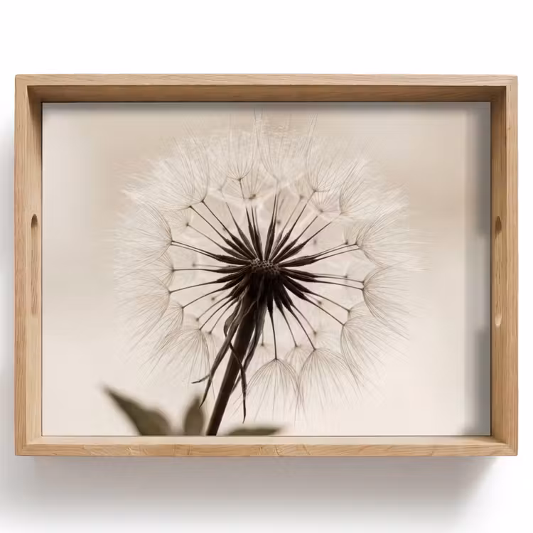 Tray - Dandelion - Minimalist - White — 1