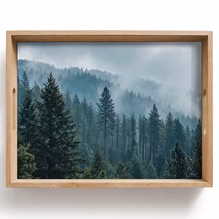 Tray - Naaldwoud - Bergen - Mist — 1