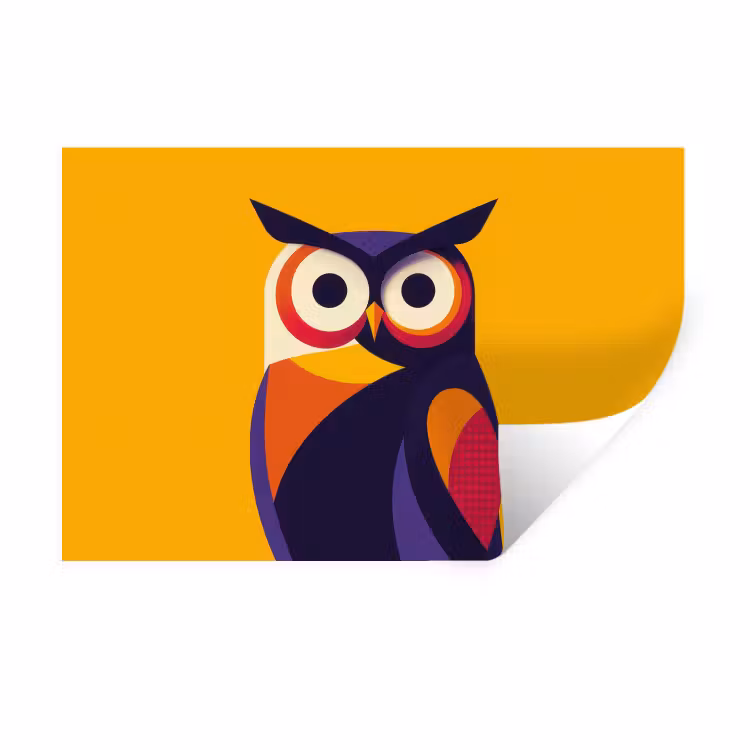 Wall Sticker - Owl - Graphic - Colorful - Eyes — 1