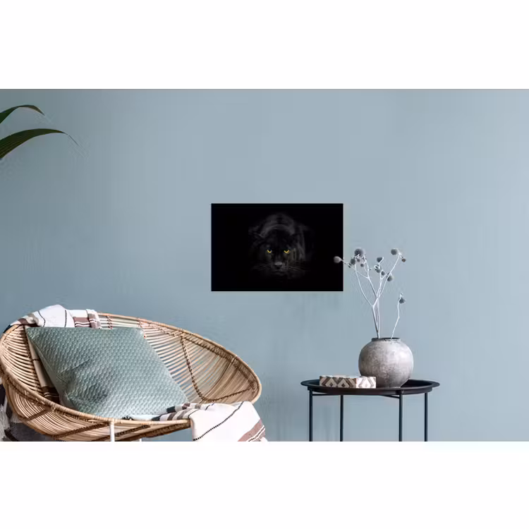 Wall Sticker - Panther - Animals - Black - Eyes — 4