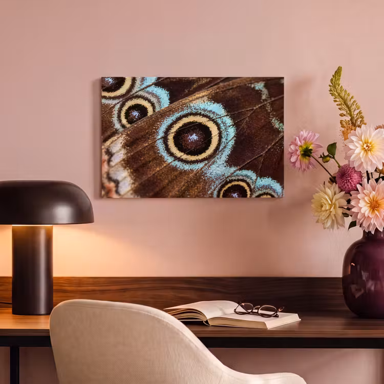 Canvas Print - Wings - Butterfly - Blue — 4