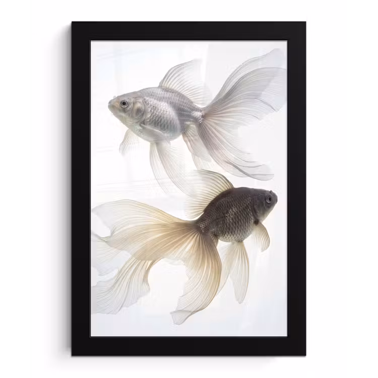 Photo Frame - Goldfish - Modern - White — 1
