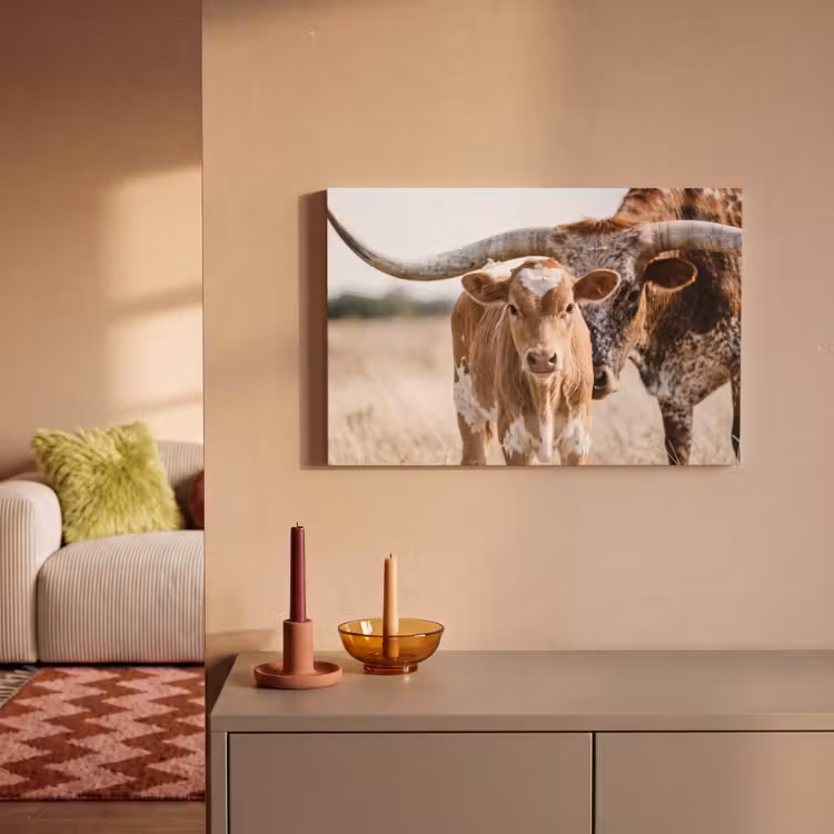 Canvas Print - Texas Longhorn - Calf - Pasture - Animals — 2
