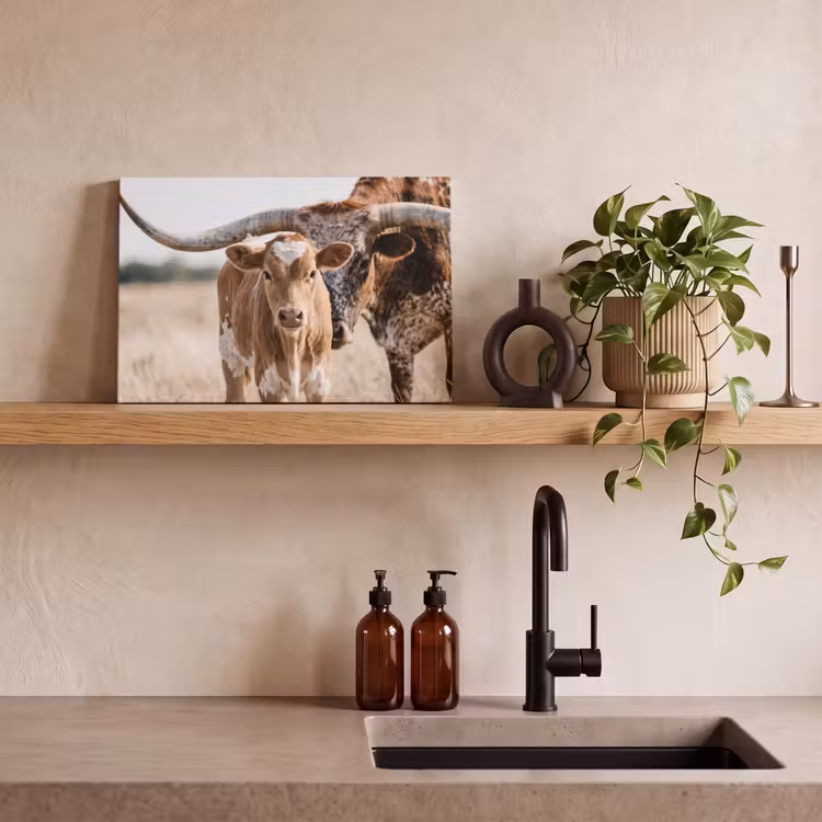Canvas Print - Texas Longhorn - Calf - Pasture - Animals — 3