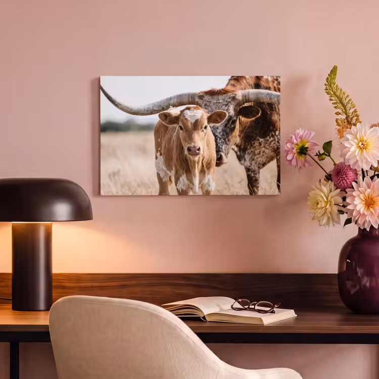 Canvas Print - Texas Longhorn - Calf - Pasture - Animals — 4