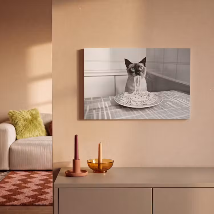 Canvas Print - Cat - Siamese - Black and White - Cute - Animals — 2