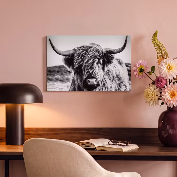 Canvas Print - Scottish Highlander - Close up - Horns - Coat - Black and White — 4