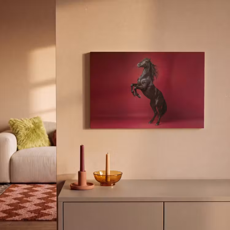 Canvas Print - Stallion - Steigert - Red — 2