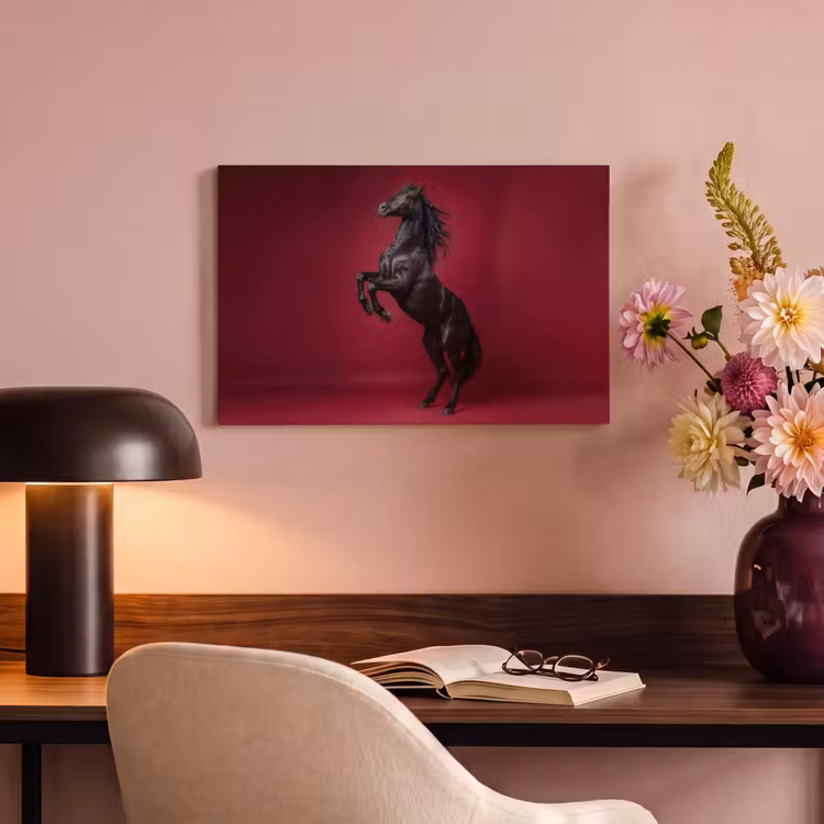 Canvas Print - Stallion - Steigert - Red — 4