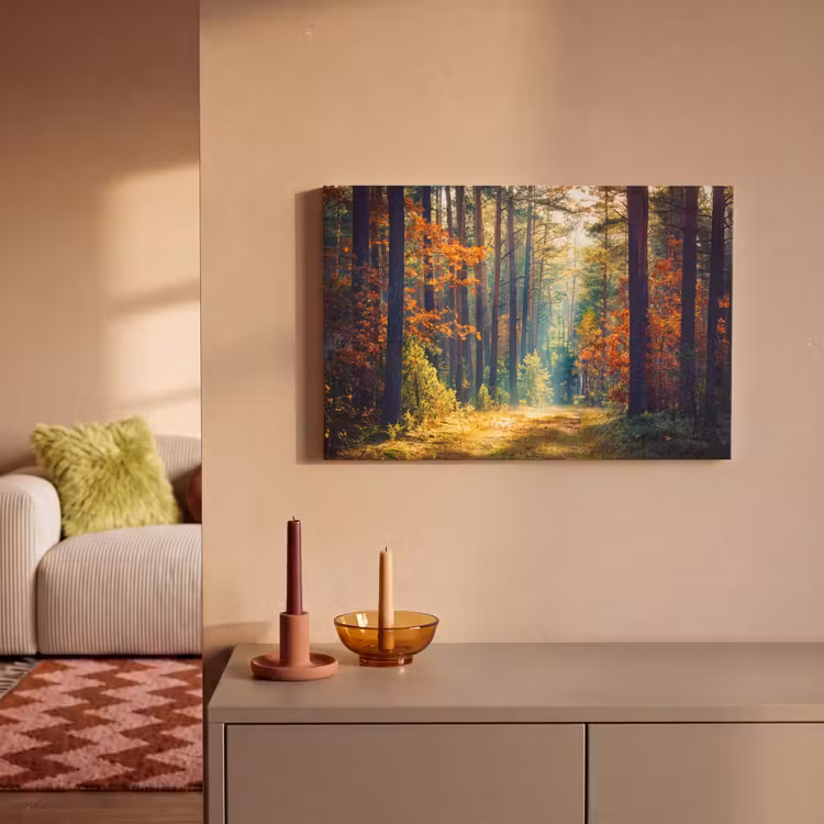 Canvas Print - Forest - Sun - Nature - Autumn — 2