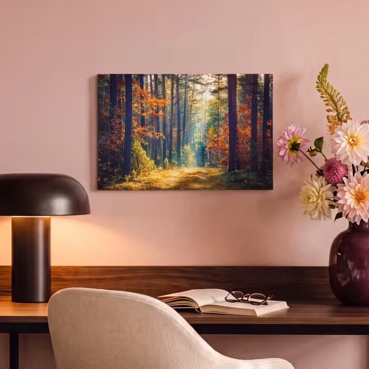 Canvas Print - Forest - Sun - Nature - Autumn — 4