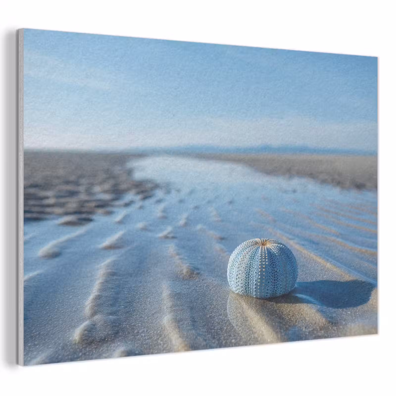 Acoustic Felt - Beach - Shield - Water - Blue — 1