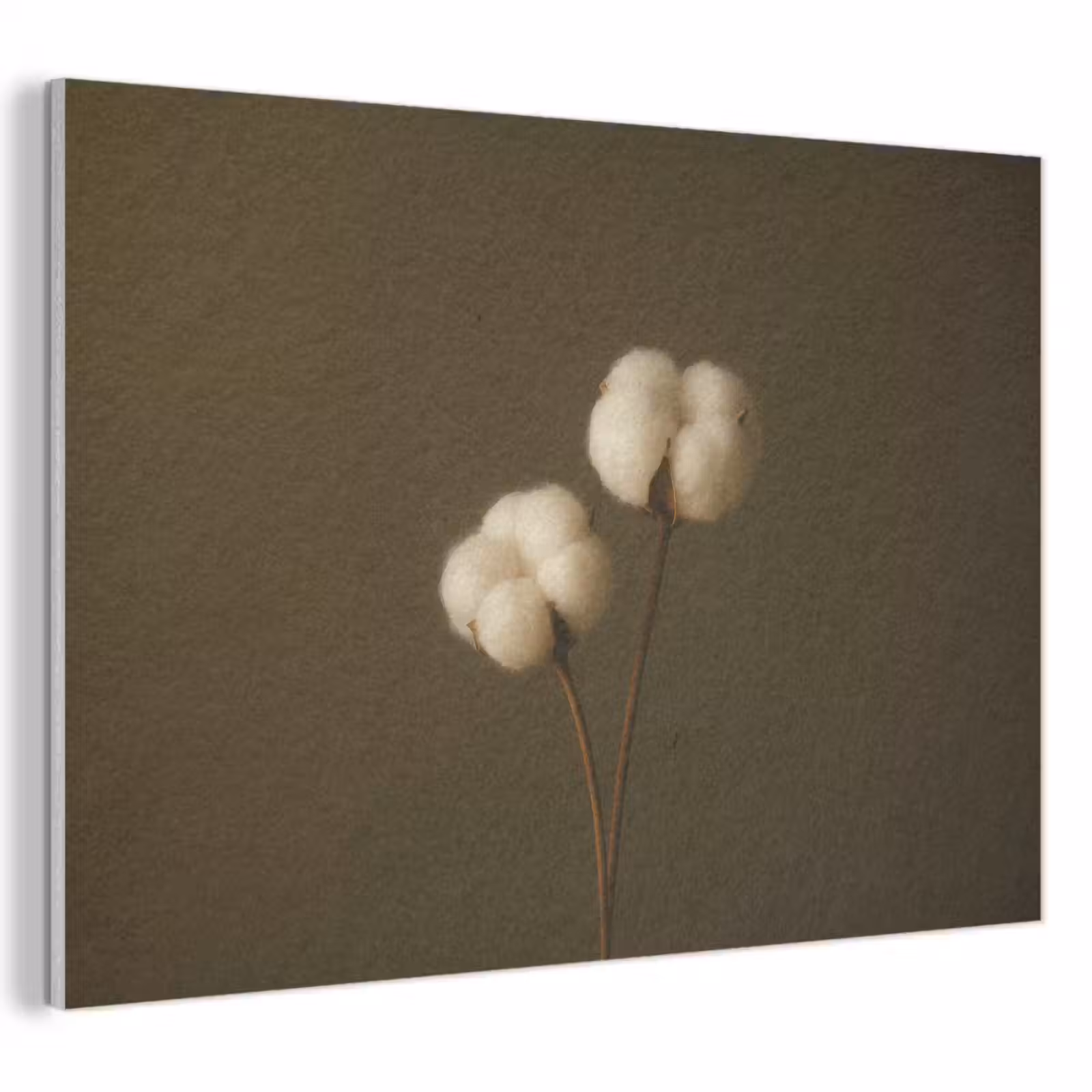 Acoustic Felt - Branches - Cotton - White - Spheres — 1