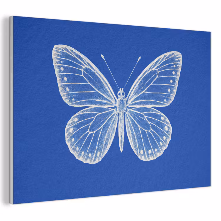 Acoustic Felt - Butterfly - White - Drawn - Dots — 1