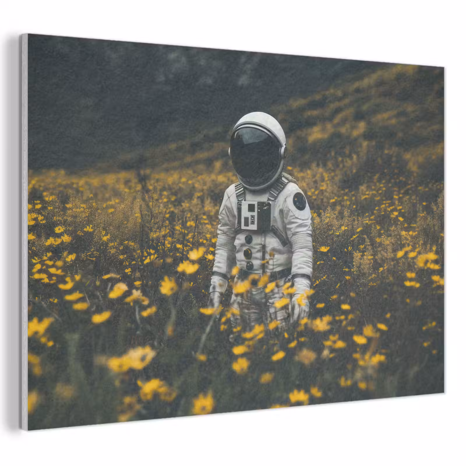 Acoustic Felt - Astronaut - Flowers - Field - Yellow — 1