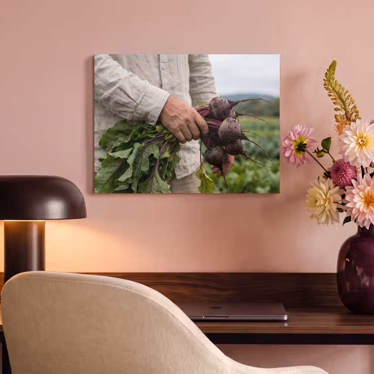 Acoustic Felt - Beets - Fresh - Kitchen Garden — 4