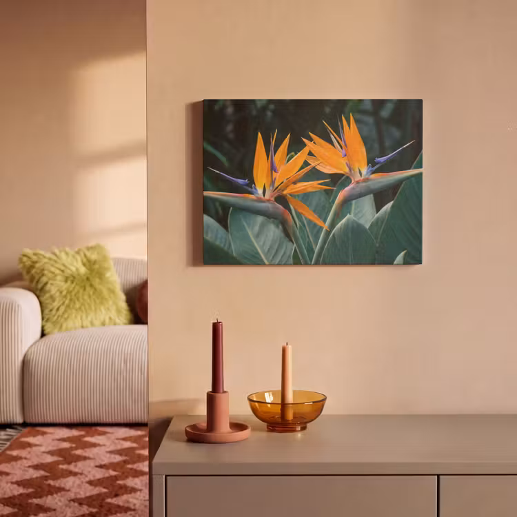 Acoustic Felt - Bird of paradise - Flower - Exotic — 2