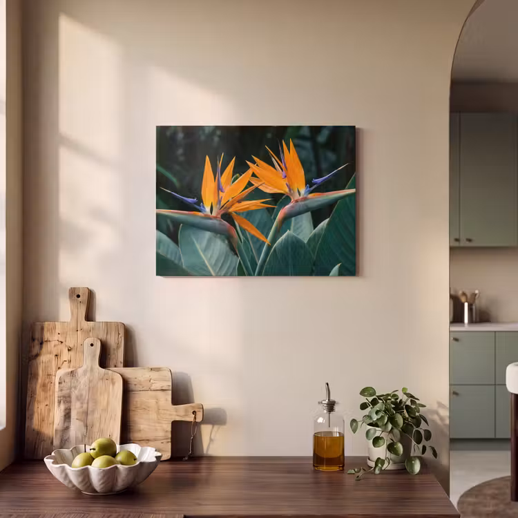 Acoustic Felt - Bird of paradise - Flower - Exotic — 3