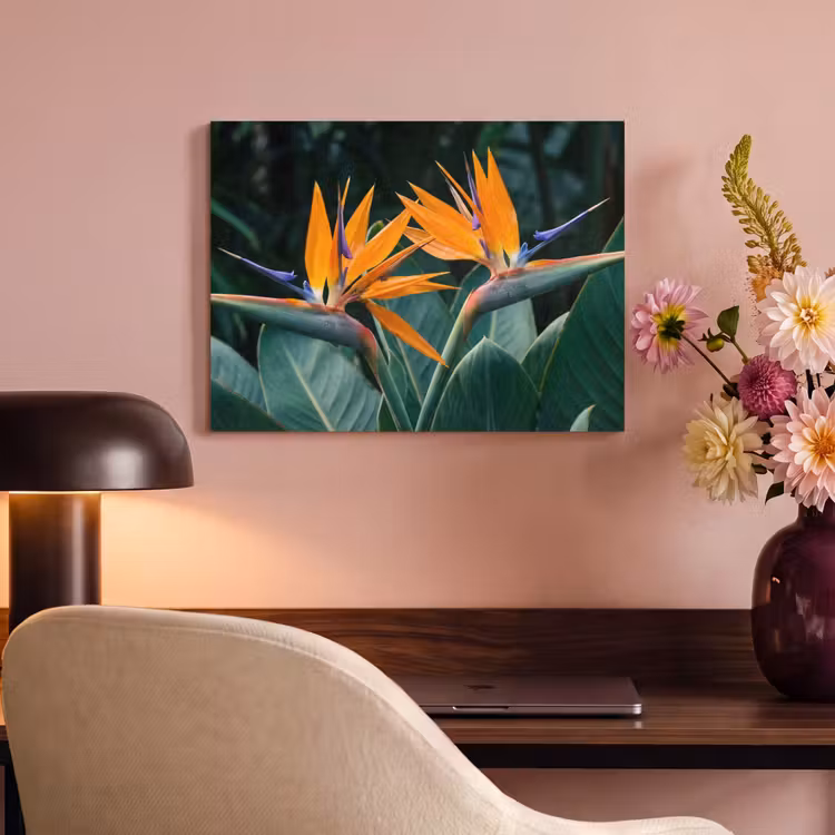 Acoustic Felt - Bird of paradise - Flower - Exotic — 4