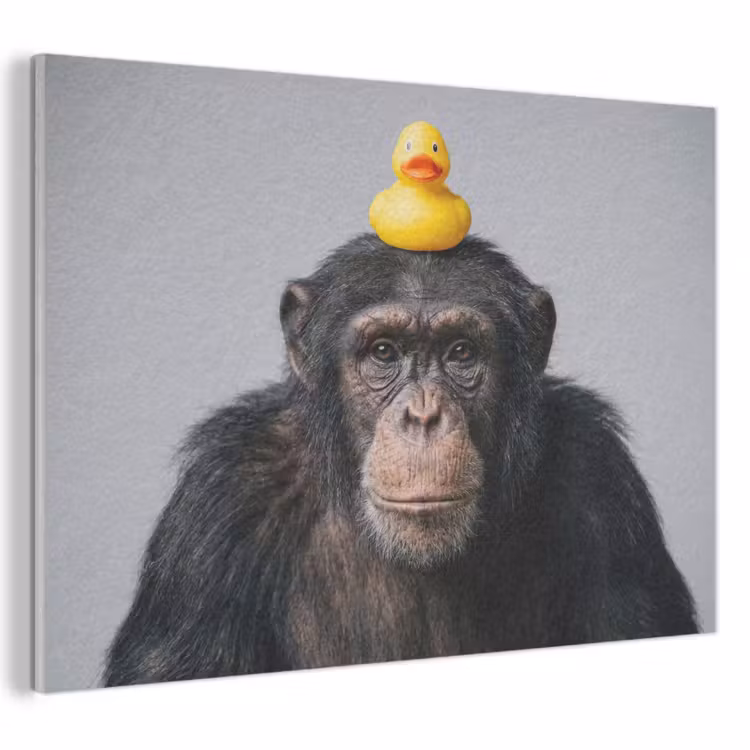 Acoustic Felt - Chimpanzee - Rubber Duck - Gray — 1