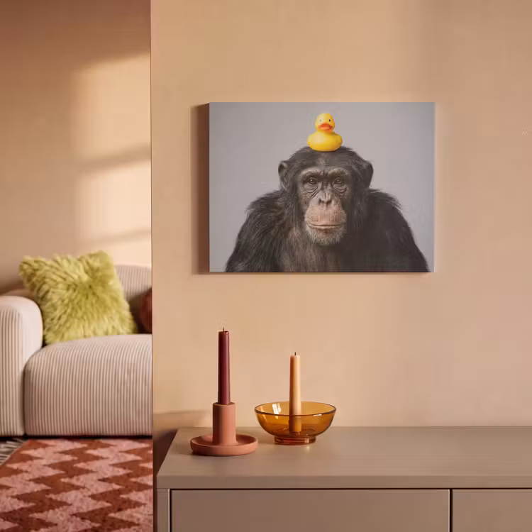 Acoustic Felt - Chimpanzee - Rubber Duck - Gray — 2