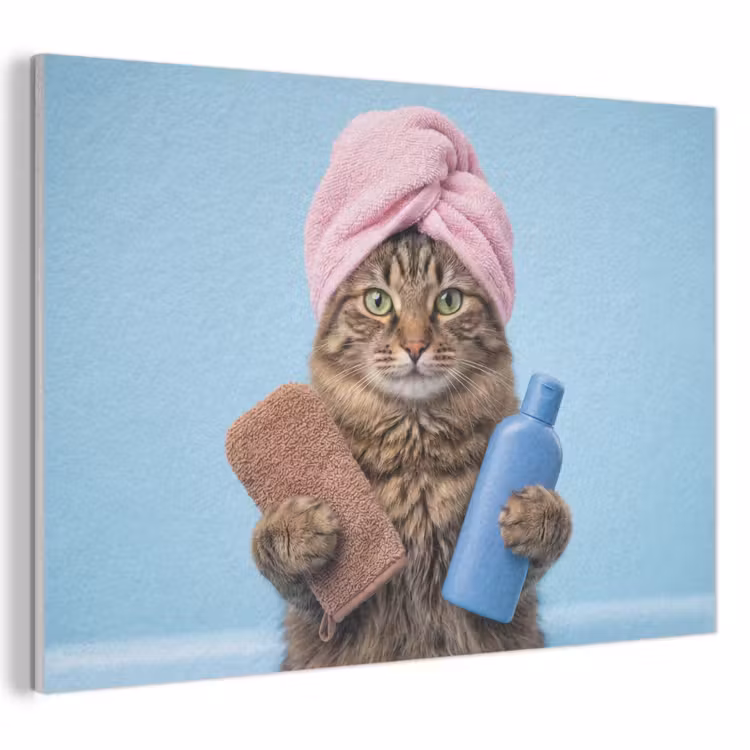 Acoustic Felt - Cat - Towel - Washcloth - Soap — 1