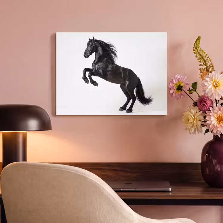 Acoustic Felt - Black - Horse - Portrait — 4
