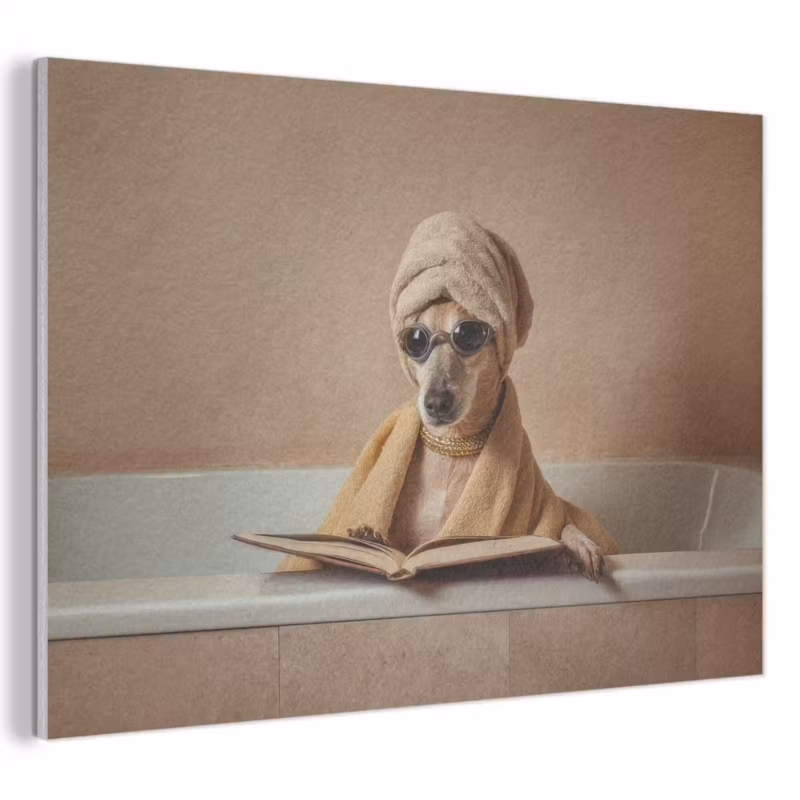 Acoustic Felt - Bath - Dog - Book - Sunglasses — 1