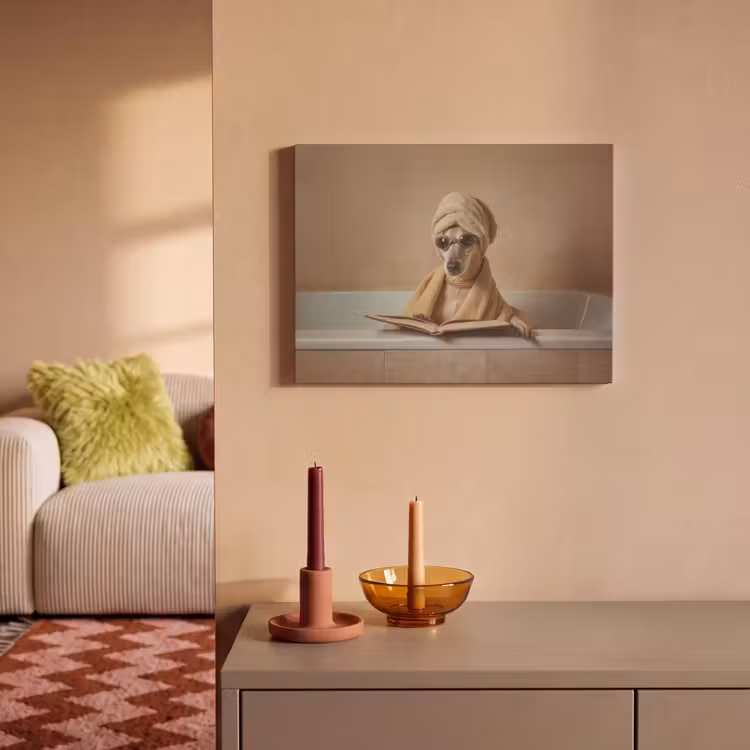 Acoustic Felt - Bath - Dog - Book - Sunglasses — 2