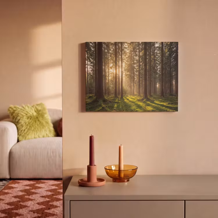 Acoustic Felt - Forest - Grass - Sunlight — 2