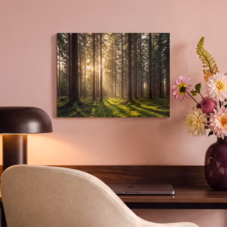 Acoustic Felt - Forest - Grass - Sunlight — 4