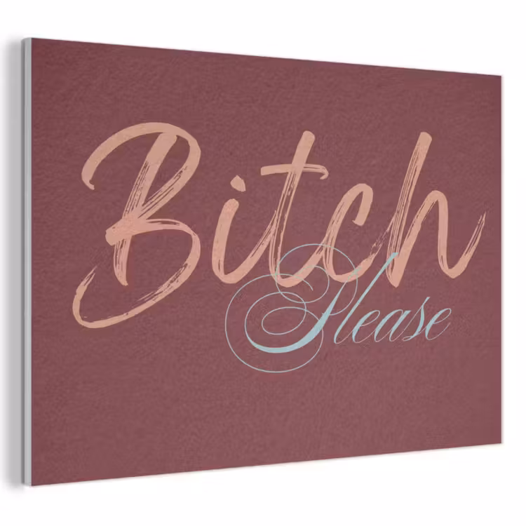 Acoustic Felt - Bitch please - Red - Blue — 1