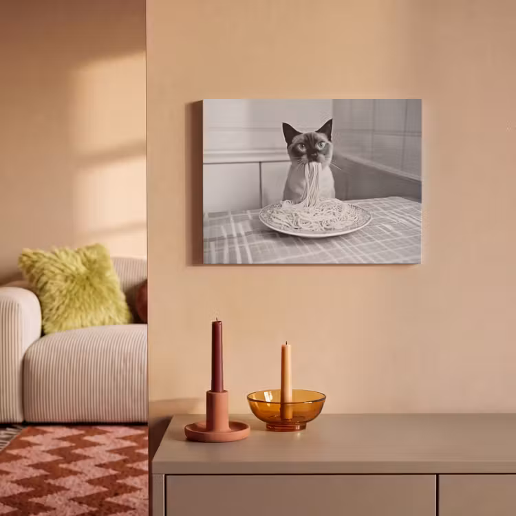 Acoustic Felt - Cat - Siamese - Black and White - Cute - Animals — 2