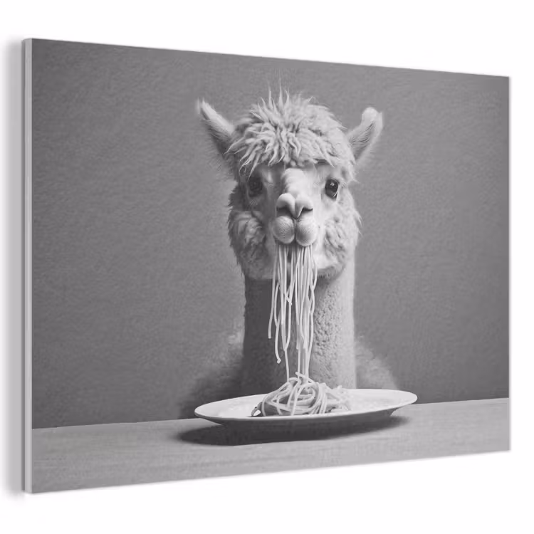 Acoustic Felt - Alpaca - Pasta - Black - White - Funny - Animals — 1